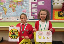 Pupils’ posters urge drivers to slow down near schools