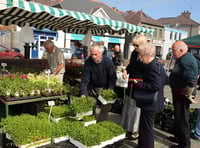 Market ‘breaks rule on local produce’