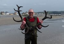 Borth antlers confirmed as from the Bronze Age