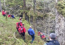 Rescue teams combine to rescue man from gorge