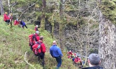 Rescue teams combine to rescue man from gorge