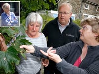 Tree poisoner defiant as neighbours vent fury