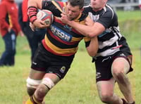 Cardi character takes them through