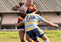 Pleasing response from Cardigan