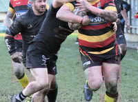 High-flying Cardigan smash All Blacks