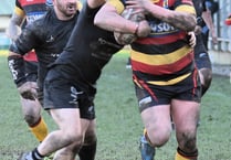 High-flying Cardigan smash All Blacks