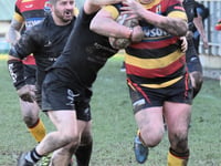 High-flying Cardigan smash All Blacks