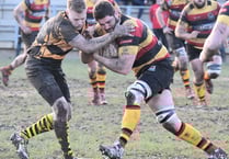 Cardigan too strong for Wasps