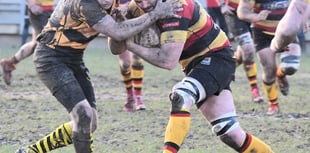 Cardigan too strong for Wasps