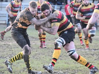 Cardigan too strong for Wasps