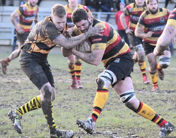 Cardigan too strong for Wasps