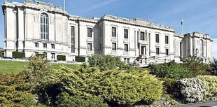 Library relies on volunteers to process materials and resources