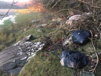 Investigation launched over illegally butchered sheep