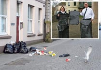 Calls for seagull-proof bin bags rejected by waste chief