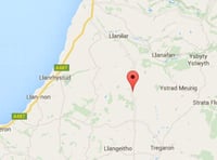 Community news: Bronant