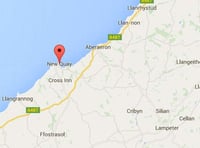 Community News: New Quay