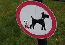 Plan to tackle dog fouling criticised