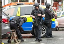 Dolgellau incident ends peacefully