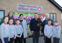 School recruits hawk to scare off seagulls