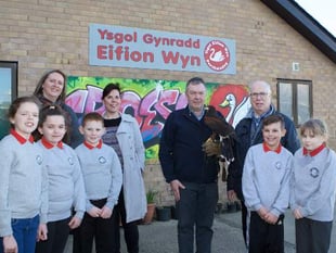School recruits hawk to scare off seagulls