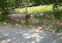 Villagers fed up with mess left after bin collections