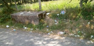 Villagers fed up with mess left after bin collections