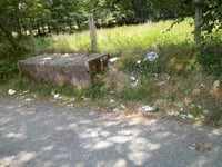 Villagers fed up with mess left after bin collections
