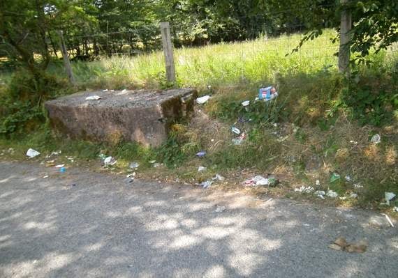Villagers fed up with mess left after bin collections