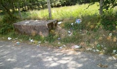 Villagers fed up with mess left after bin collections