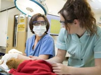 Aber to get new dedicated veterinary surgical wing opening this week