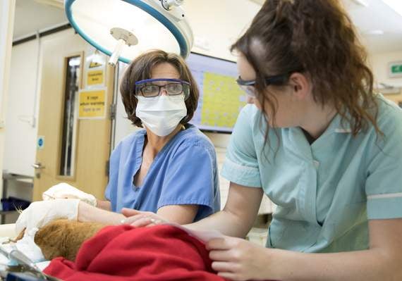 Aber to get new dedicated veterinary surgical wing opening this week