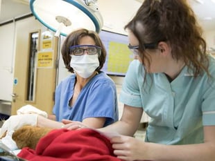 Aber to get new dedicated veterinary surgical wing opening this week