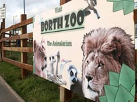 Zoo avoids winding-up bid
