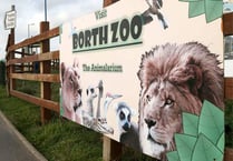 Zoo avoids winding-up bid