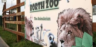 Zoo avoids winding-up bid