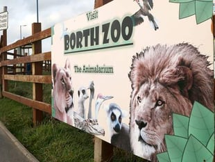 Zoo avoids winding-up bid