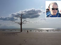 Tree sculpture to be built on beach after refusal overturned