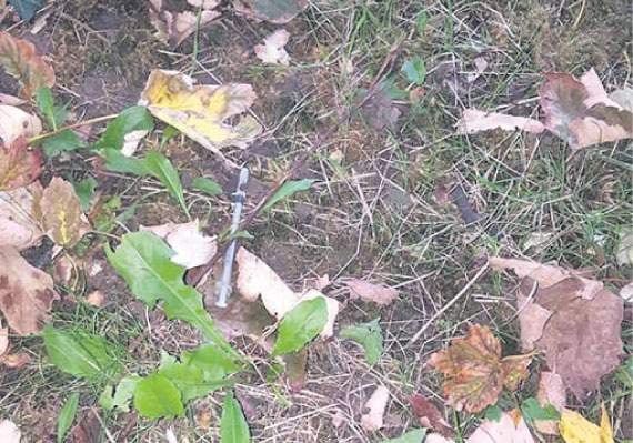 Horrified mum finds needle near schools