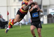 All Blacks resist Cardi pressure