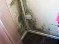 Damp and mould situation in Wales' homes 'cannot continue'