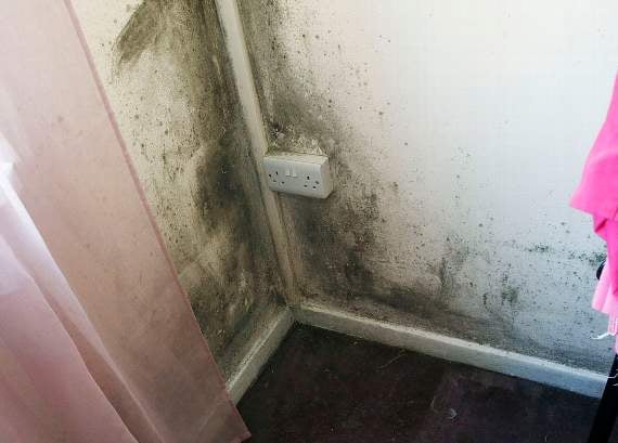 Damp and mould situation in Wales' homes 'cannot continue'
