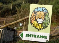 Zoo agrees plan to repay nearly £350,000 of debts