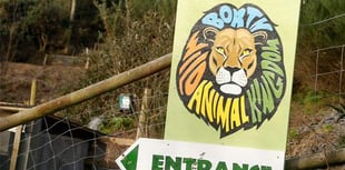 Zoo agrees plan to repay nearly £350,000 of debts