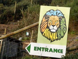 Zoo agrees plan to repay nearly £350,000 of debts
