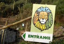 Zoo agrees plan to repay nearly £350,000 of debts