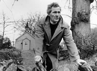 Literary festival to celebrate life of poet