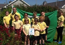 School’s platinum award for environmental efforts