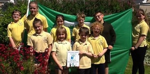 School’s platinum award for environmental efforts