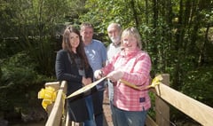Woodland walk reopened after new bridge installed
