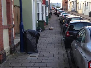 Peck-proof sacks trial to help keep Aberystwyth streets tidy